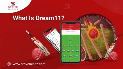 What is Dream11.
